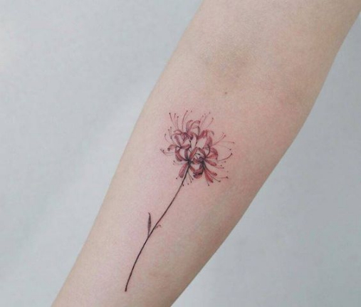 Hình xăm tattoo hoa bỉ ngạn ở tay đẹp nhất cho nữ giới