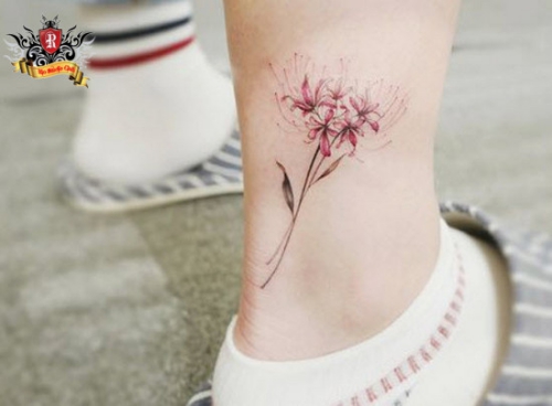 Hình xăm tattoo hoa bỉ ngạn ở chân đẹp nhất cho nữ
