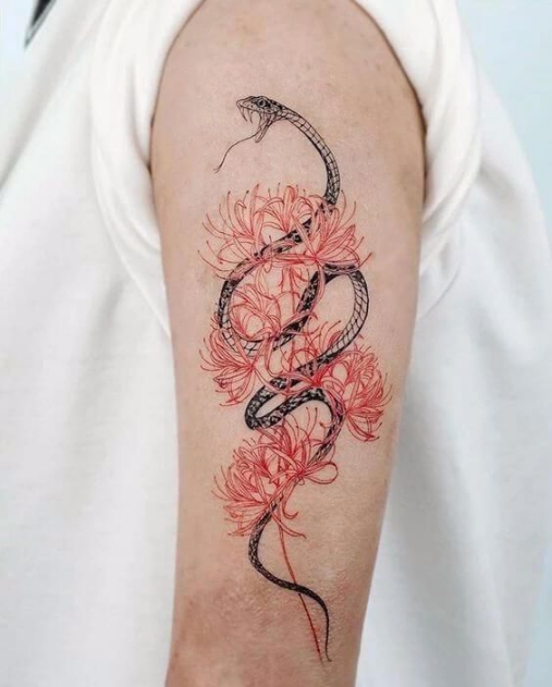Hình xăm nghệ thuật rắn và hoa bỉ ngạn đẹp trên bắp tay cho nữ